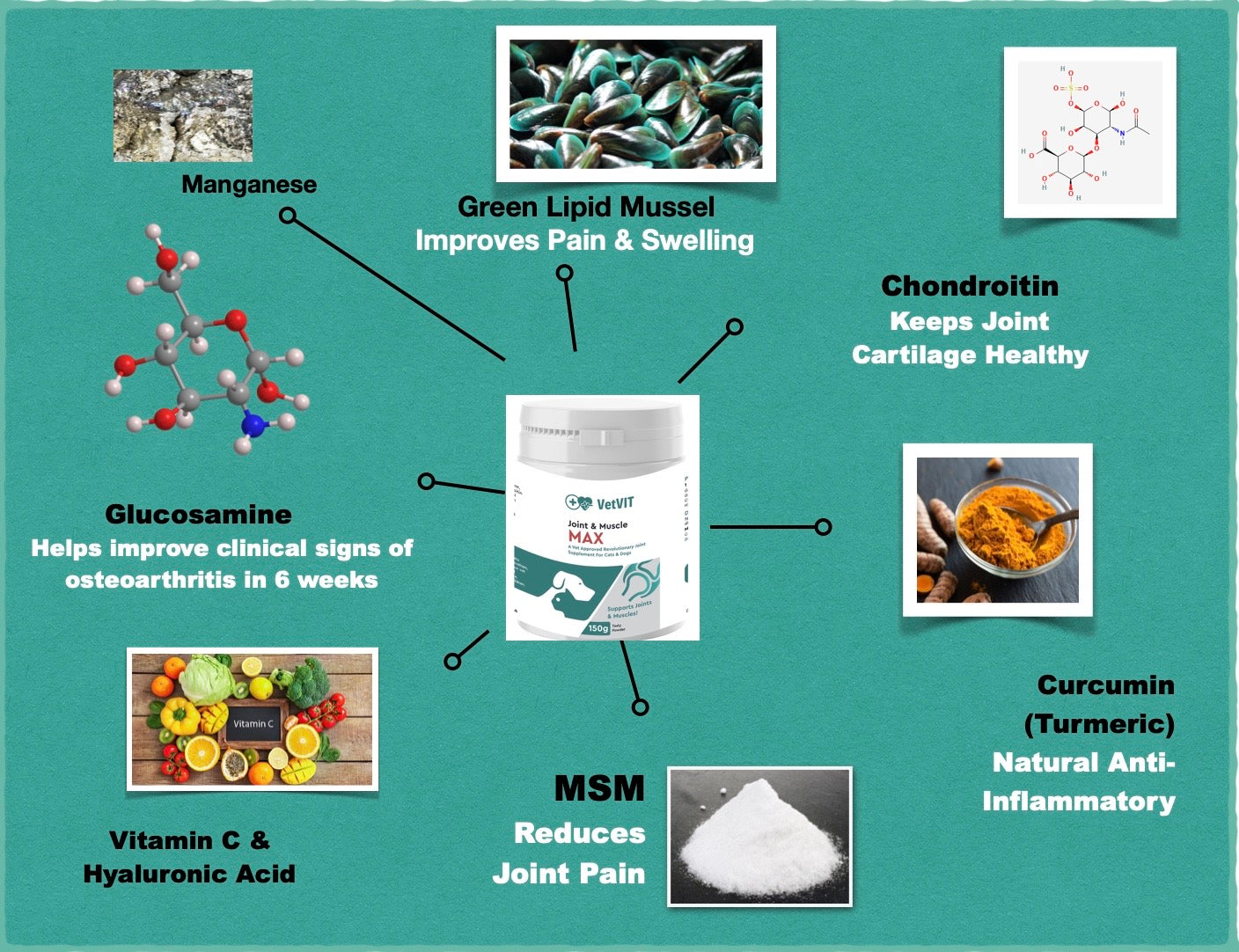 Joint & Muscle MAX (150g Powder)