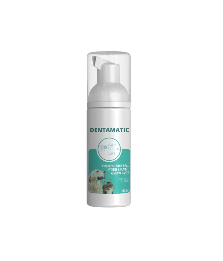 DENTAMATIC! NON-BRUSH Toothpaste! (100ml)