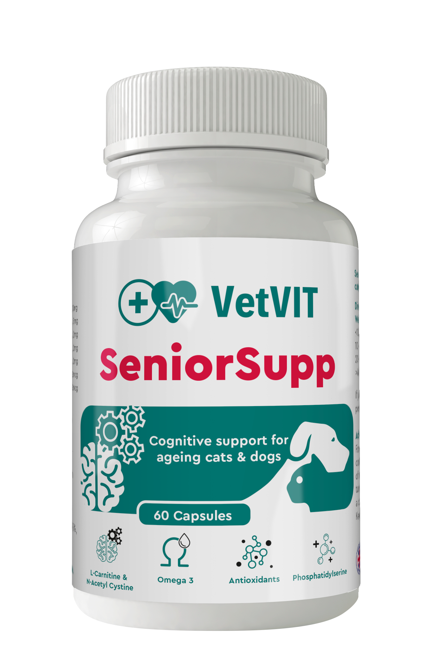 SeniorSUPP cognitive support
