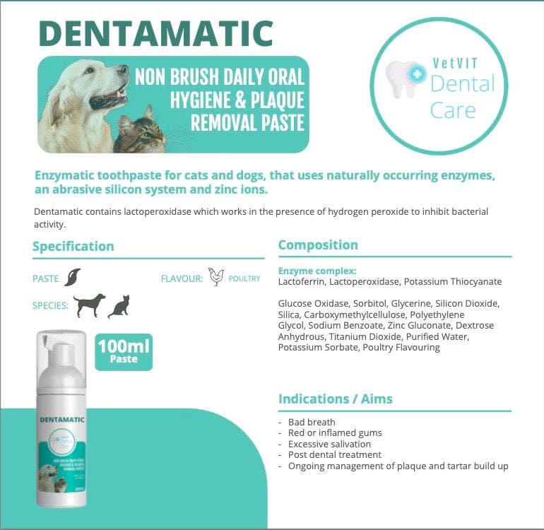 DENTAMATIC! NON-BRUSH Toothpaste! (100ml)